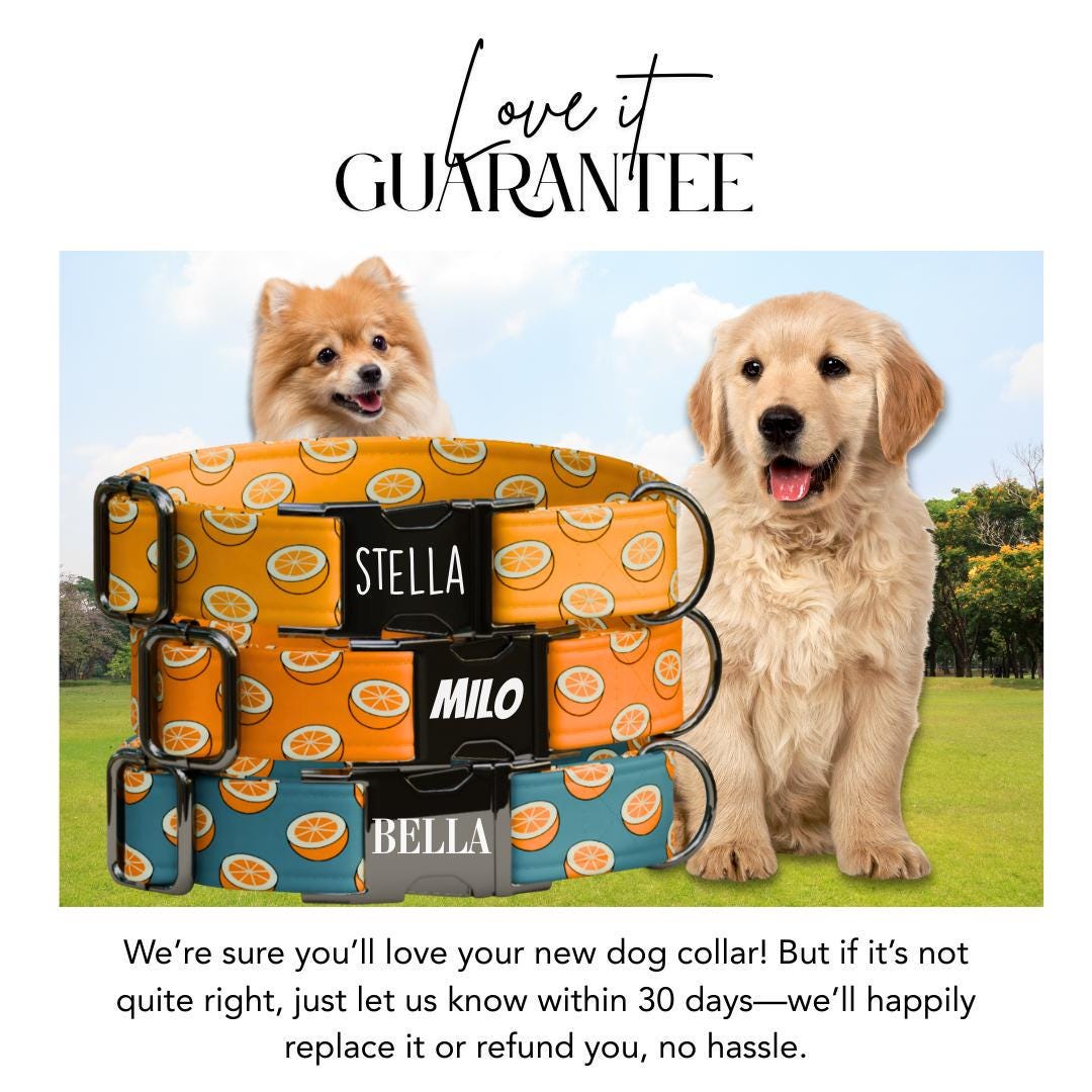 Personalized Orange Dog Collar with Name Engraved Cute and Soft Citrus Adjustable Collar & Leash Set Black or Gold Buckle Dog Gift (OG-104)