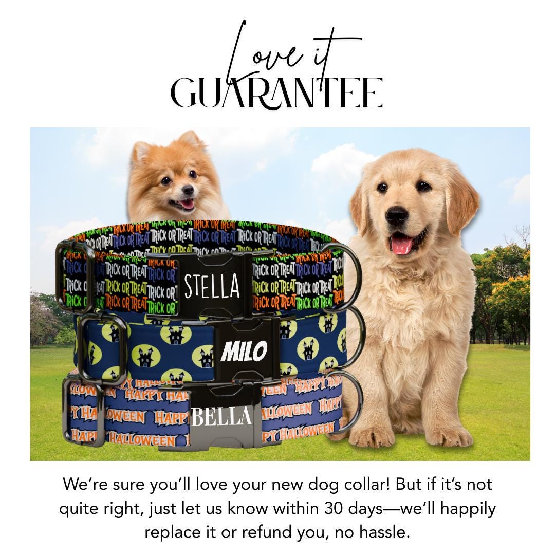 Personalized Halloween Dog Collar with Name Engraved Cute and Soft Fall Adjustable Collar & Leash Set Black or Gold Buckle Dog Gift (OG-145)