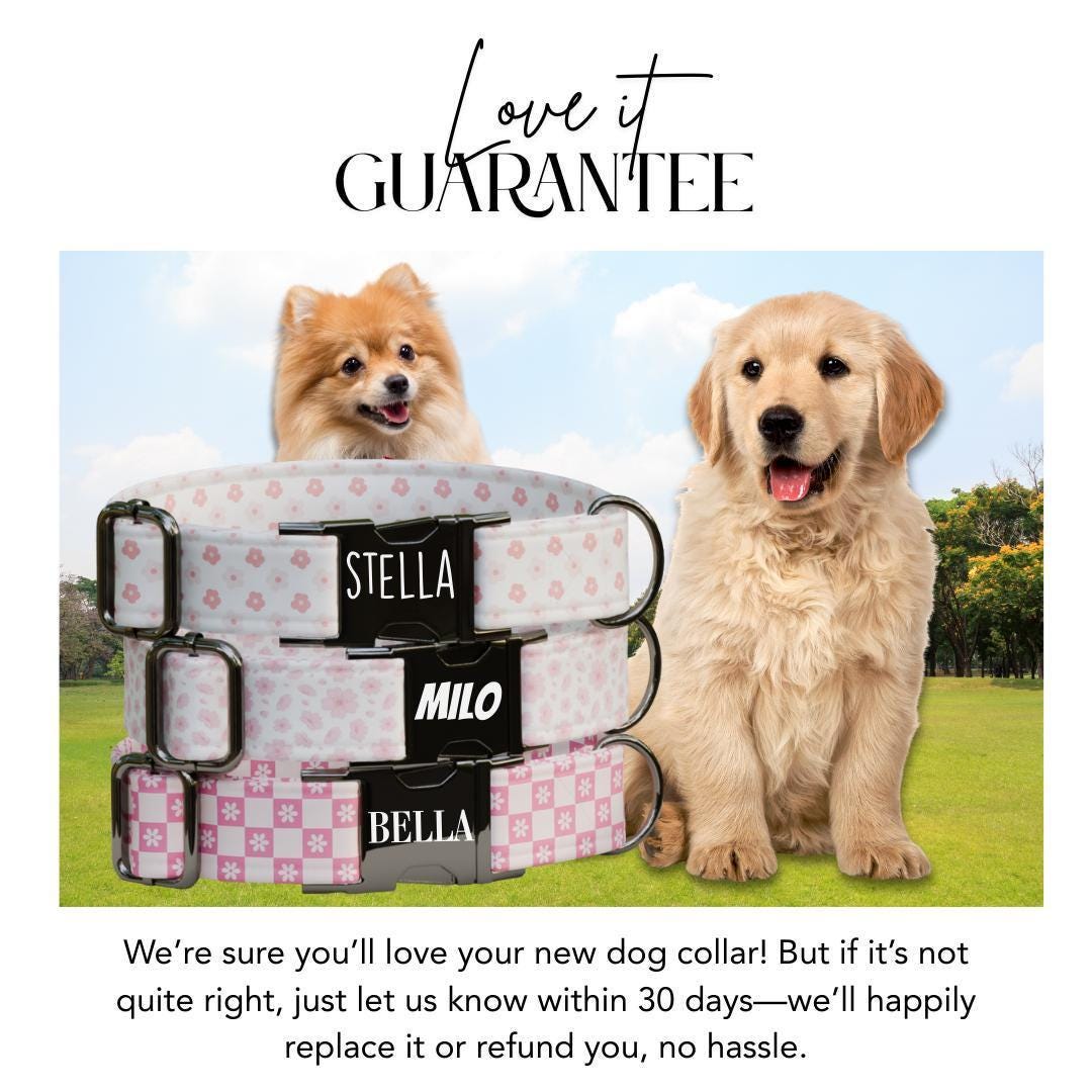 Personalized Pink Floral Dog Collar with Name Engraved, Cute and Soft Adjustable Collar & Leash Set, Black or Gold Buckle, Dog Gift (OG-02)