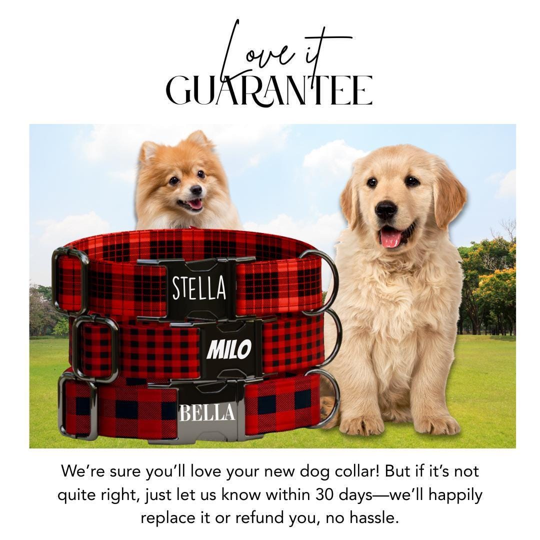 Personalized Red Plaid Dog Collar with Name Engraved, Cute and Soft Adjustable Collar & Leash Set, Black or Gold Buckle Dog Gift (OG-16)