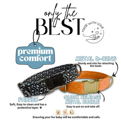 Personalized Halloween Dog Collar with Name Engraved, Cute and Soft Adjustable Fall Collar & Leash Set Black or Gold Buckle Dog Gift (OG-38)