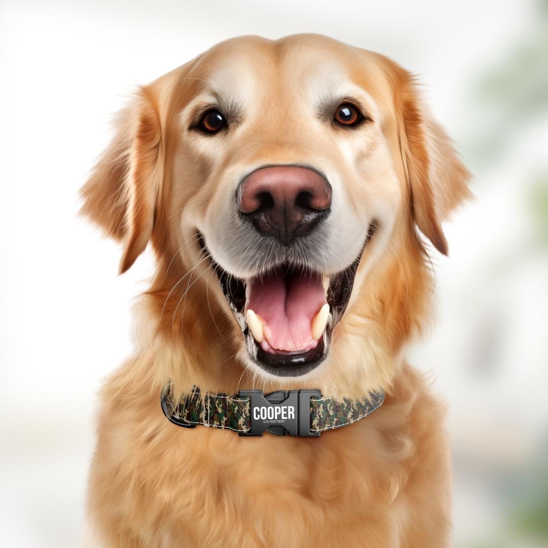 Personalized Camouflage Dog Collar with Name Engraved Cute & Soft Military Style Adjustable Collar Leash Set Wedding Dog Tag Gift (OG-52)