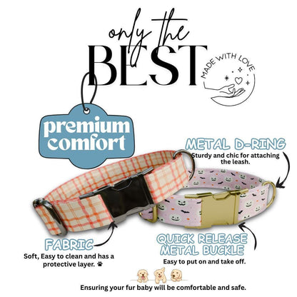 Personalized Halloween Dog Collar with Name Engraved Cute and Soft Fall Adjustable Collar & Leash Set Black or Gold Buckle Dog Gift (OG-128)