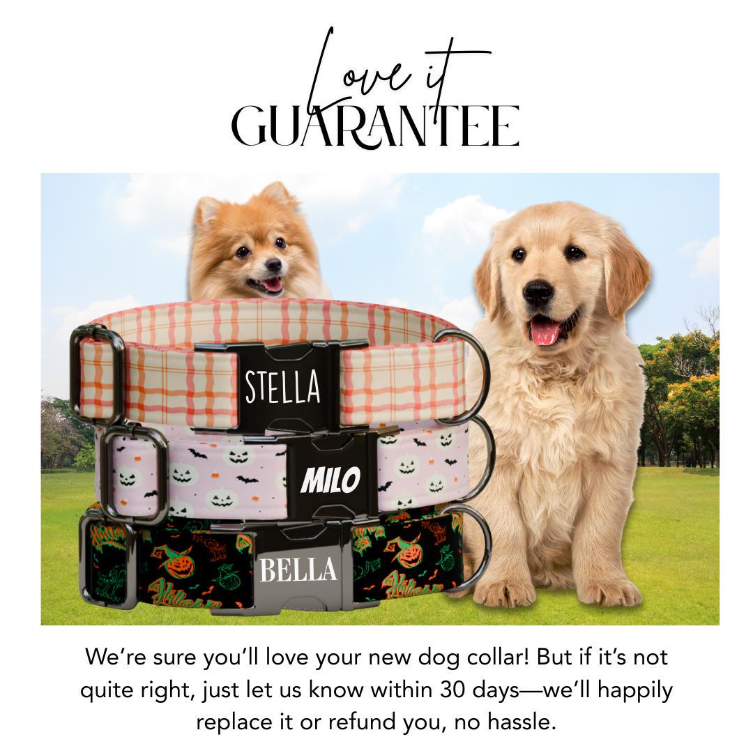 Personalized Halloween Dog Collar with Name Engraved Cute and Soft Fall Adjustable Collar & Leash Set Black or Gold Buckle Dog Gift (OG-128)