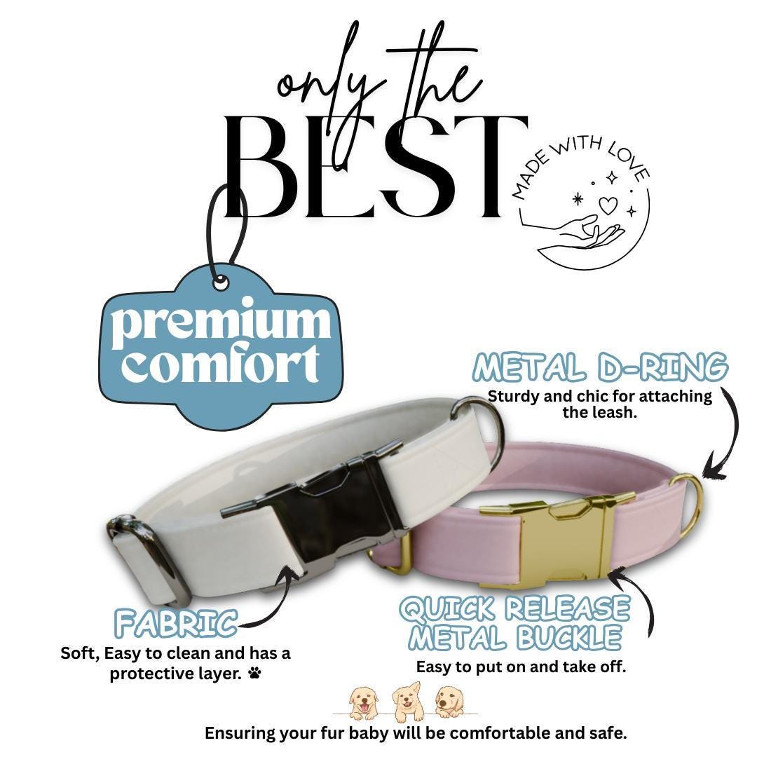 Personalized Multiple Luxe Velvet Dog Collar with Name Engraved, Cute and Soft Adjustable Collar & Leash Set, Wedding Dog Tag Gift (OG-48)