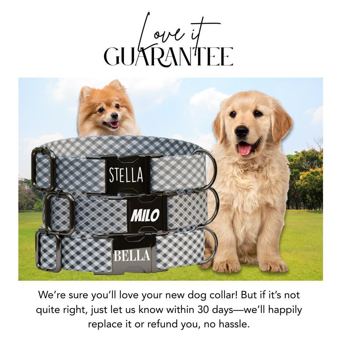 Personalized Gingham Fabric Dog Collar with Name Engraved, Cute and Soft Adjustable Collar & Leash Set Black or Gold Buckle Dog Gift (OG-22)