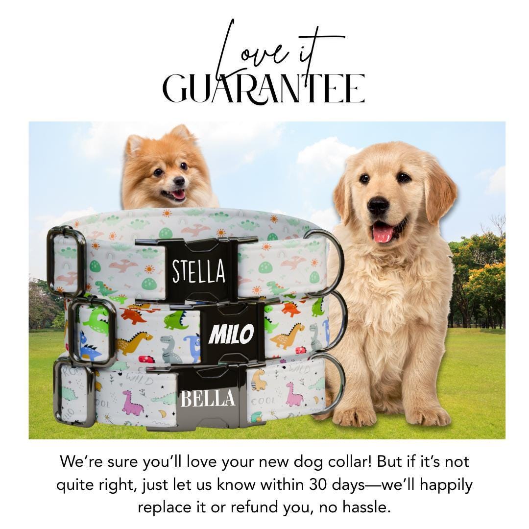 Personalized Dinosaur Dog Collar with Name Engraved Cute and Soft Dino Adjustable Collar & Leash Set Black or Gold Buckle Dog Gift (OG-98)