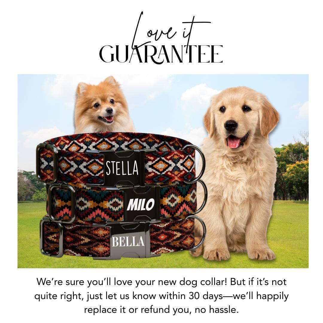 Personalized Southwestern Dog Collar with Name Engraved, Cute and Soft Adjustable Collar & Leash Set, Black or Gold Buckle Dog Gift (OG-44)