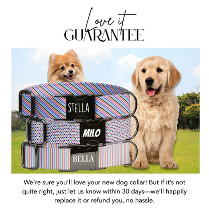 Personalized Stripes and Dots Dog Collar with Name Engraved Cute and Soft Adjustable Collar & Leash Set Black / Gold Buckle Dog Gift (OG-89)