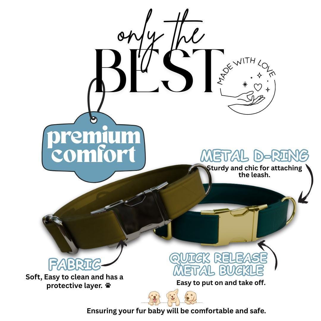 Personalized Multiple Luxe Velvet Dog Collar with Name Engraved, Cute and Soft Adjustable Collar & Leash Set, Wedding Dog Tag Gift (OG-50)