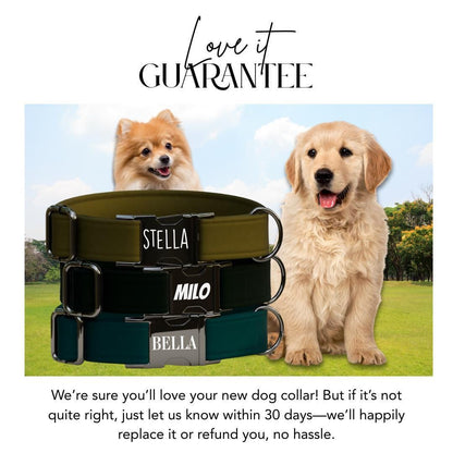 Personalized Multiple Luxe Velvet Dog Collar with Name Engraved, Cute and Soft Adjustable Collar & Leash Set, Wedding Dog Tag Gift (OG-50)