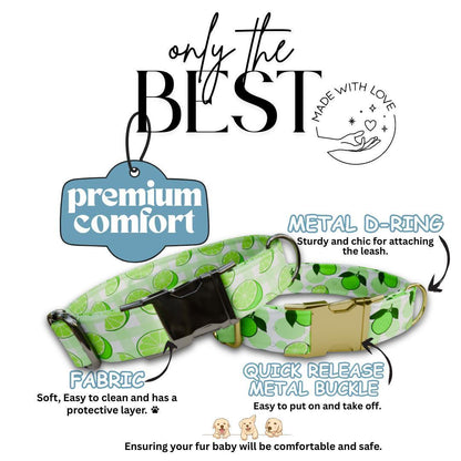 Personalized Lime Fruit Dog Collar with Name Engraved Cute & Soft Adjustable Collar Leash Set Unique Lime Fruit Print Dog Tag Gift (OG-87)