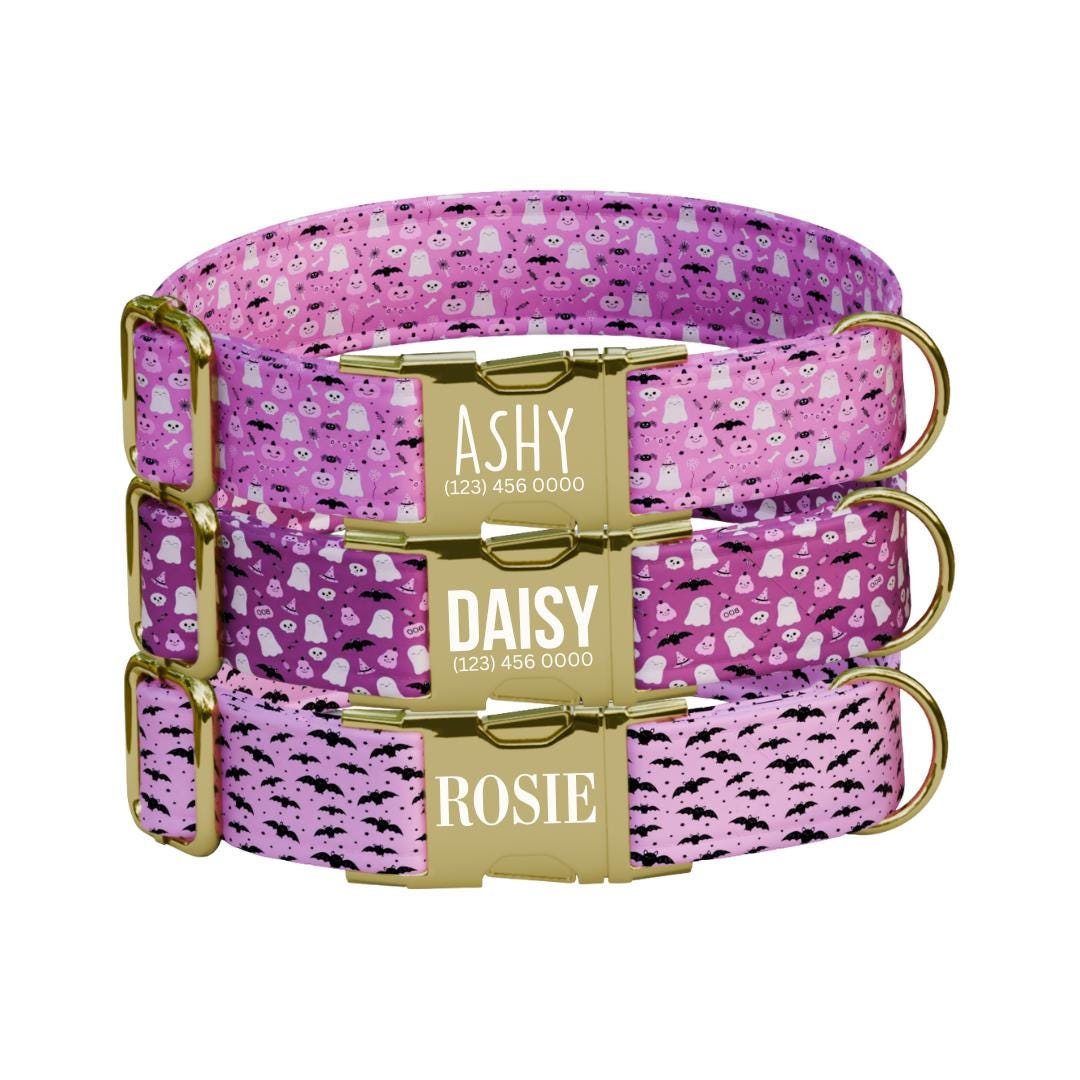 Personalized Halloween Dog Collar with Name Engraved, Cute and Soft Adjustable Pink Collar & Leash Set Black or Gold Buckle Dog Gift (OG-33)