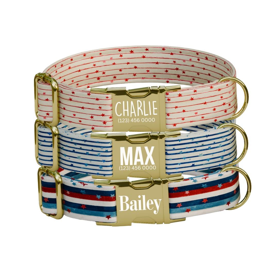 Personalized US Patriotic Dog Collar with Name Engraved Cute & Soft Adjustable Collar Leash Set Unique Star Striped Pet Dog Tag Gift (OG-82)