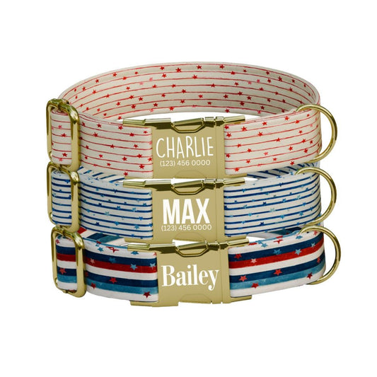 Personalized US Patriotic Dog Collar with Name Engraved Cute & Soft Adjustable Collar Leash Set Unique Star Striped Pet Dog Tag Gift (OG-82)