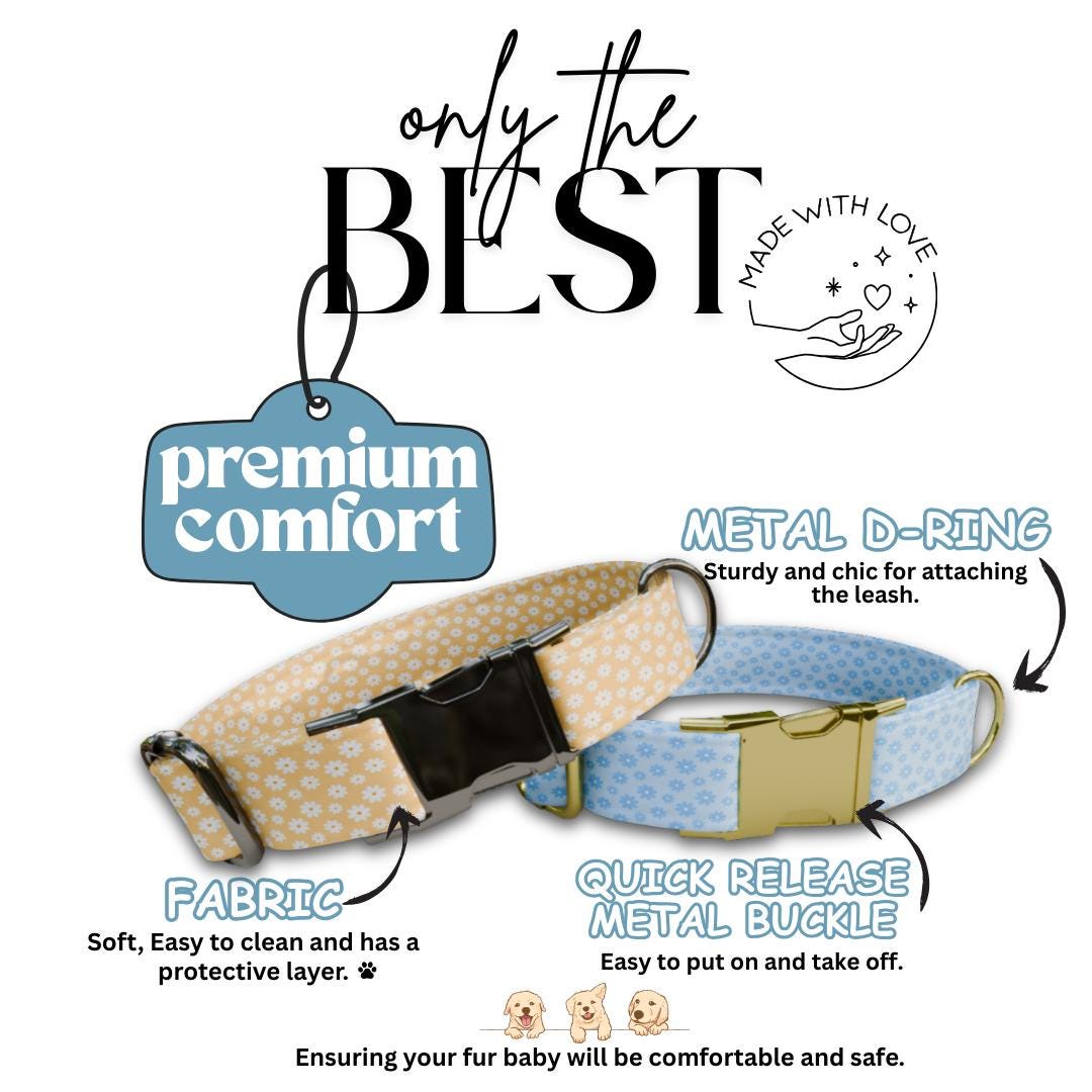 Personalized Daisy Flowers Dog Collar with Name Engraved Cute & Soft Adjustable Collar Leash Set Unique Daisy Flowers Dog Tag Gift (OG-78)