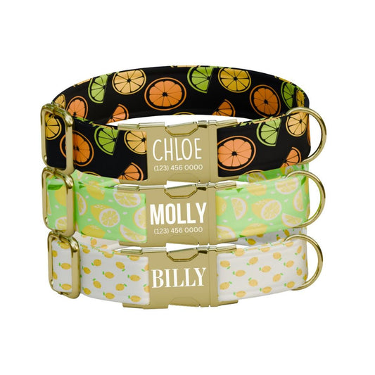 Personalized Citrus Fresh Dog Collar with Name Engraved Cute & Soft Tropical Vibes Adjustable Collar Leash Set Unique Dog Tag Gift (OG-65)