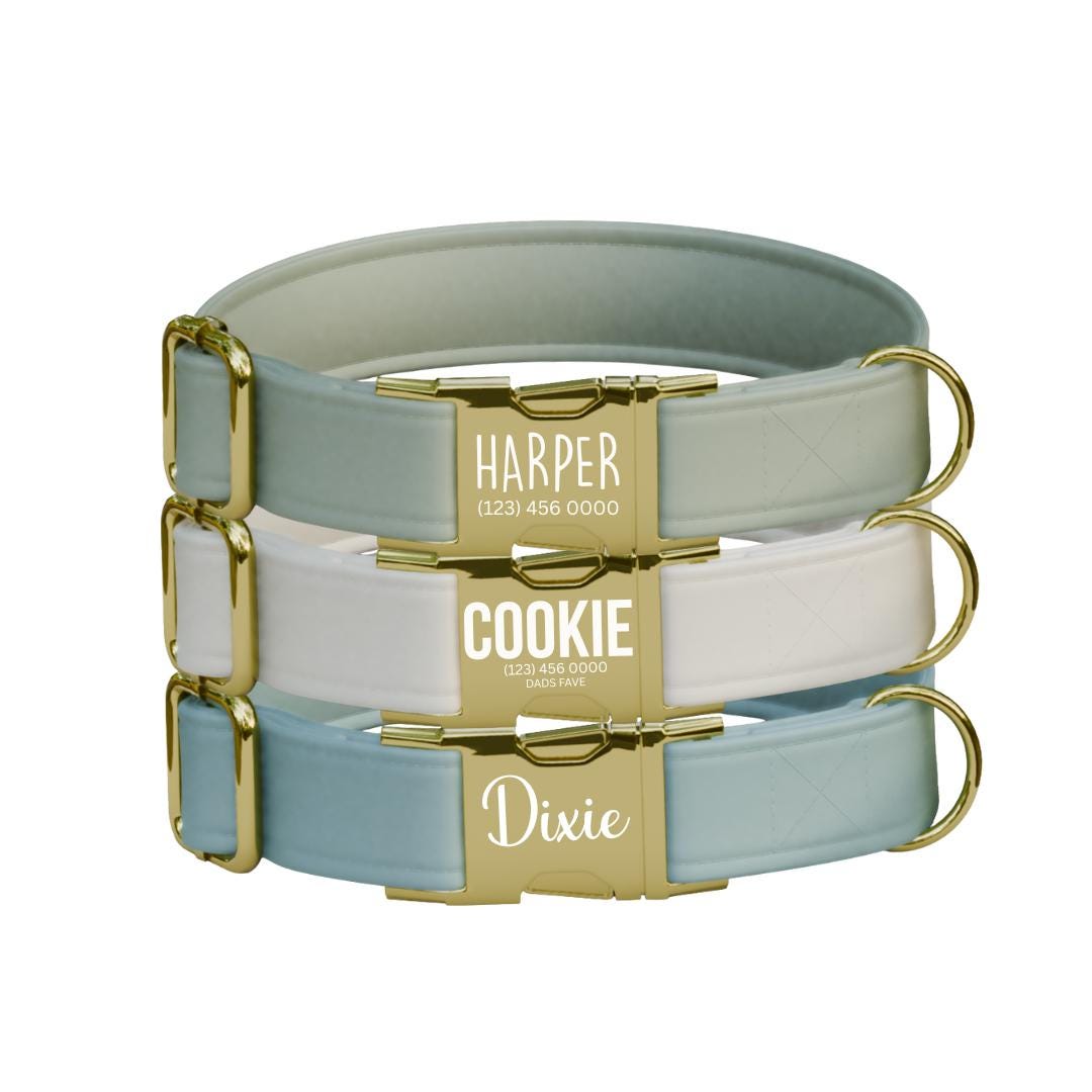 Personalized Multiple Luxe Velvet Dog Collar with Name Engraved, Cute and Soft Adjustable Collar & Leash Set, Wedding Dog Tag Gift (OG-49)