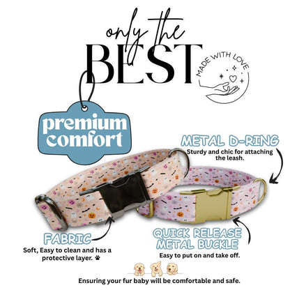 Personalized Halloween Dog Collar with Name Engraved, Cute and Soft Adjustable Fall Collar & Leash Set Black or Gold Buckle Dog Gift (OG-34)