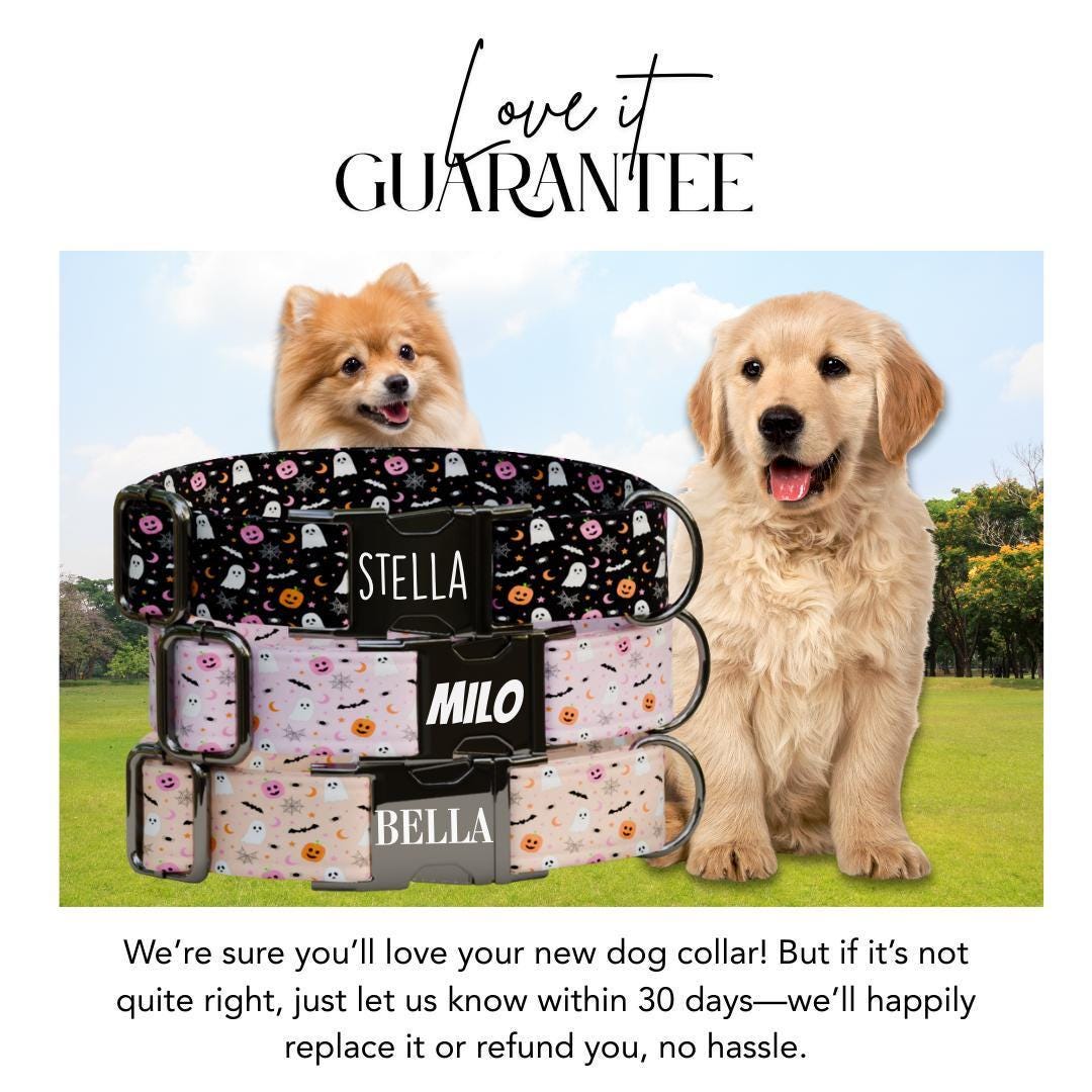 Personalized Halloween Dog Collar with Name Engraved, Cute and Soft Adjustable Fall Collar & Leash Set Black or Gold Buckle Dog Gift (OG-34)
