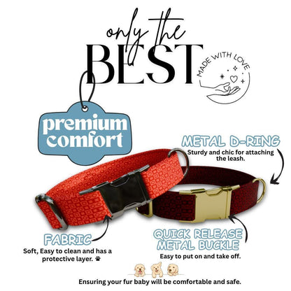 Personalized Modern Geometric Dog Collar with Name Engraved, Cute and Soft Adjustable Collar & Leash Set, Black Gold Buckle Dog Gift (OG-12)