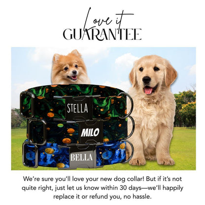 Personalized Galaxy Space Dog Collar with Name Engraved, Cute and Soft Adjustable Collar & Leash Set, Black or Gold Buckle Dog Gift (OG-91)