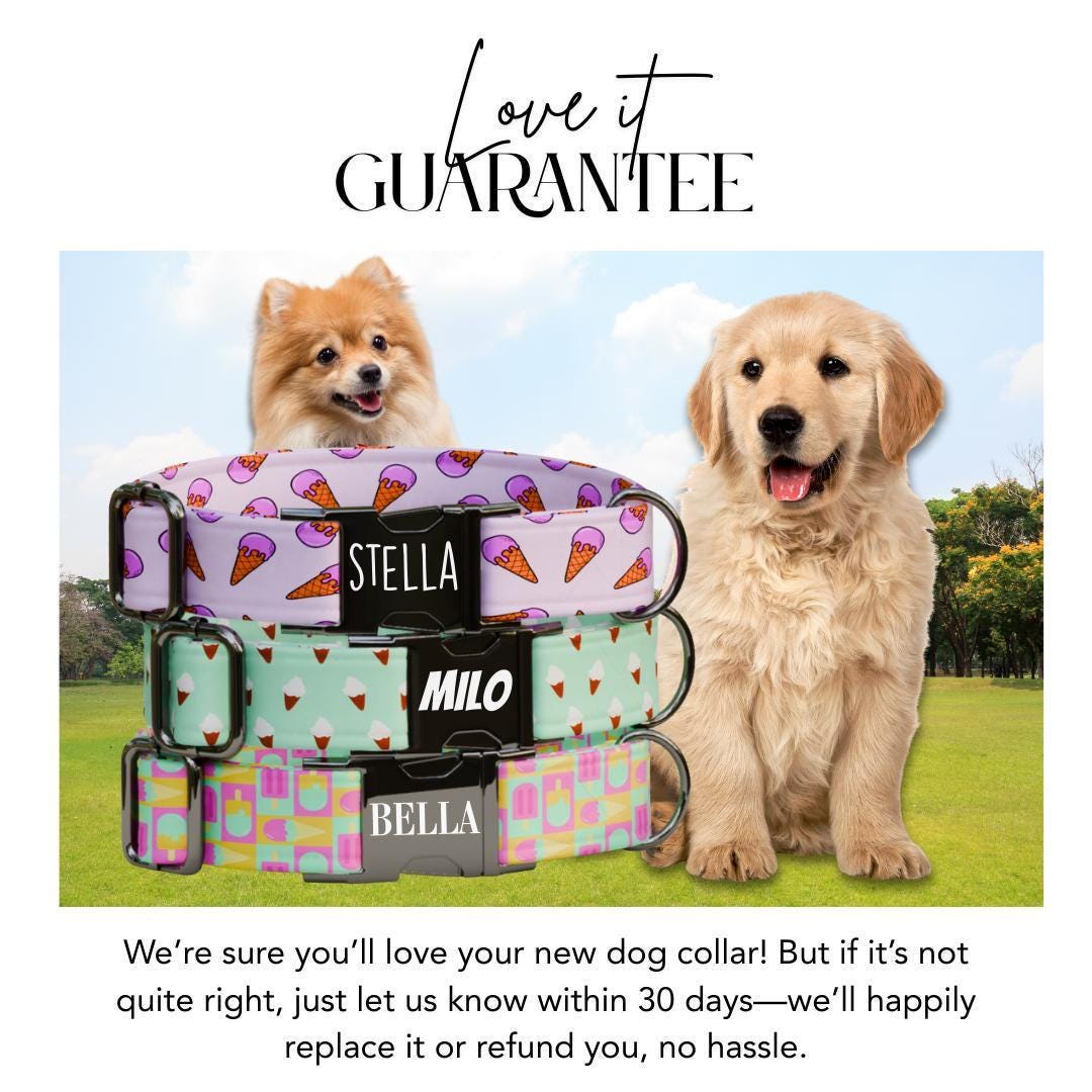 Personalized Ice Cream Dog Collar with Name Engraved Cute and Soft Cone Adjustable Collar & Leash Set Black or Gold Buckle Dog Gift (OG-94)