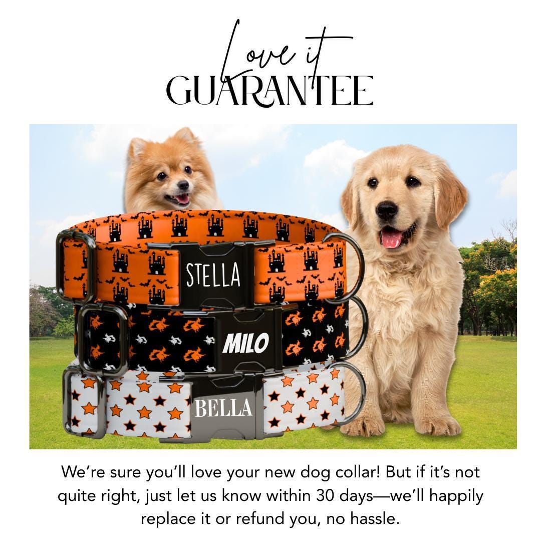 Personalized Spook-tacular Halloween Dog Collar with Name Engraved Cute and Soft Adjustable Collar & Leash Set, Pet ID Tag Dog Gift (OG-137)