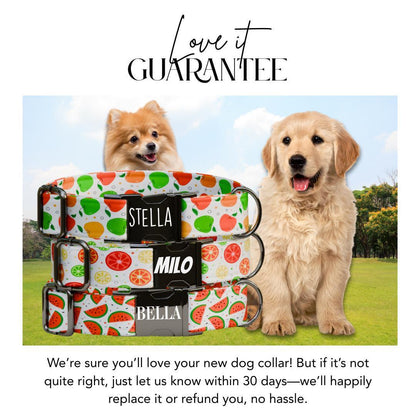 Personalized Fruit Dog Collar with Name Engraved Cute & Soft Adjustable Collar Leash Set Unique Cute Summer Fruit Print Dog Tag Gift (OG-79)