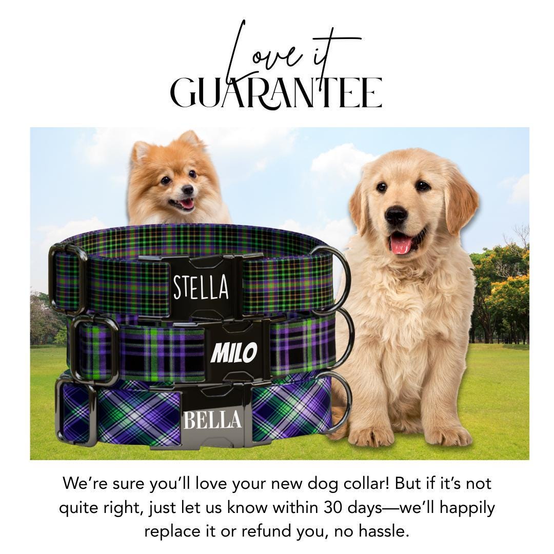 Personalized Green and Purple Plaid Dog Collar with Name Engraved, Soft Adjustable Collar & Leash Set, Black or Gold Buckle Dog Gift (OG-37)