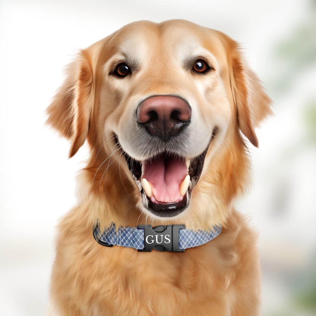 Personalized Blue Plaid Dog Collar with Name Engraved, Cute and Soft Adjustable Collar & Leash Set, Black or Gold Buckle, Dog Gift (OG-04)