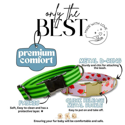 Personalized Watermelon Dog Collar with Name Engraved Cute & Soft Adjustable Collar Leash Set Unique Watermelon Print Dog Tag Gift (OG-85)