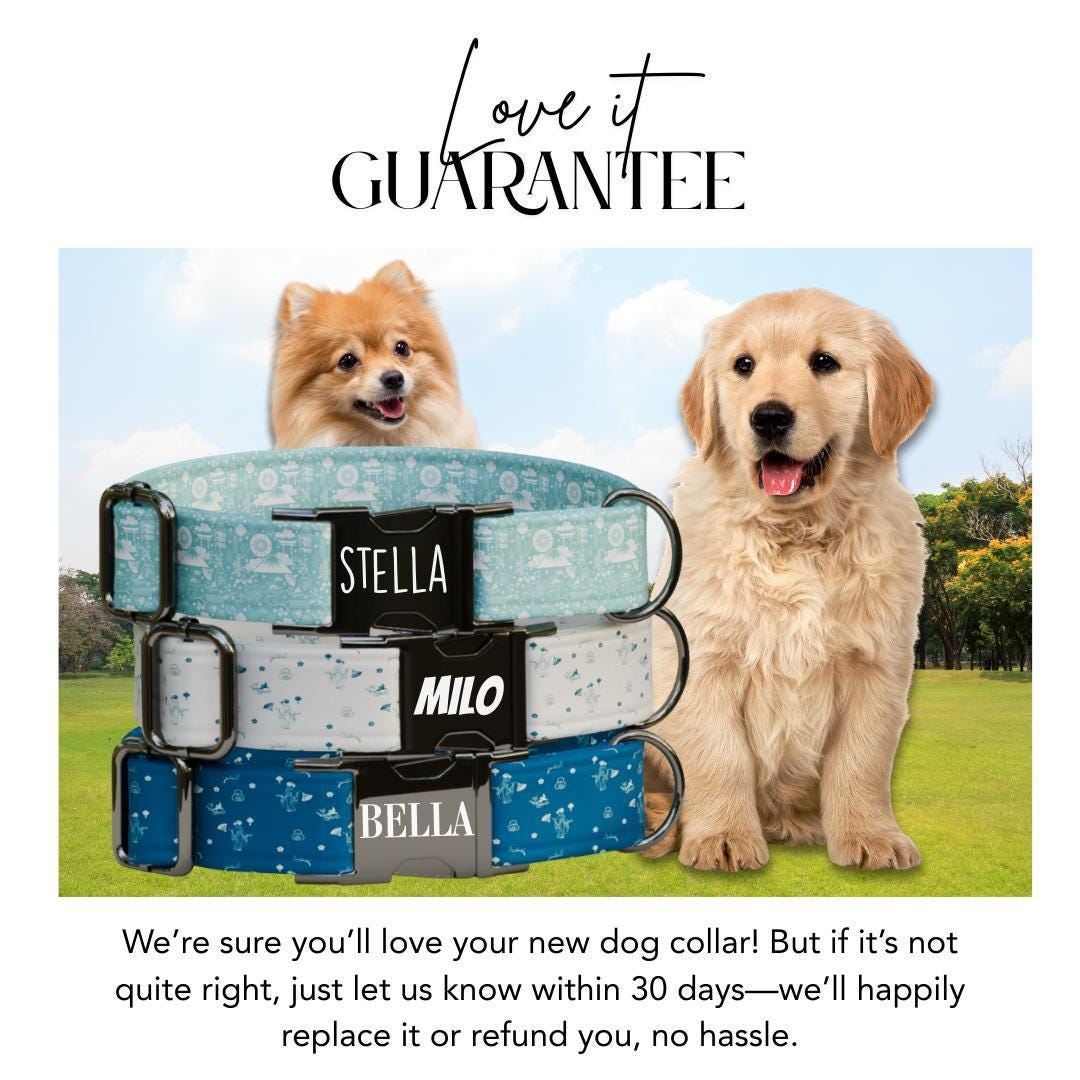 Personalized Blue Storybook Dog Collar with Name Engraved, Cute and Soft Adjustable Collar & Leash Set Black or Gold Buckle Dog Gift (OG-61)
