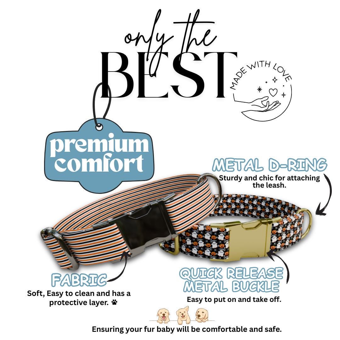 Personalized Halloween Dog Collar with Name Engraved, Cute and Soft Adjustable Fall Collar & Leash Set Black or Gold Buckle Dog Gift (OG-31)