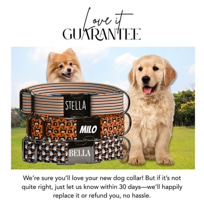 Personalized Halloween Dog Collar with Name Engraved, Cute and Soft Adjustable Fall Collar & Leash Set Black or Gold Buckle Dog Gift (OG-31)