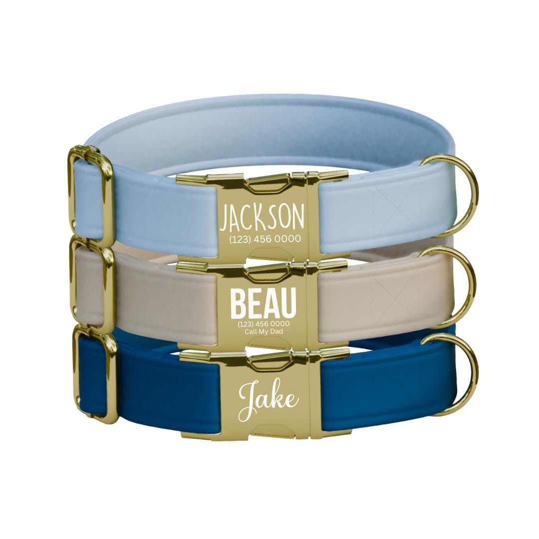 Personalized Multiple Luxe Velvet Dog Collar with Name Engraved Cute and Soft Adjustable Collar & Leash Set Wedding Dog Tag Gift (OG-47)