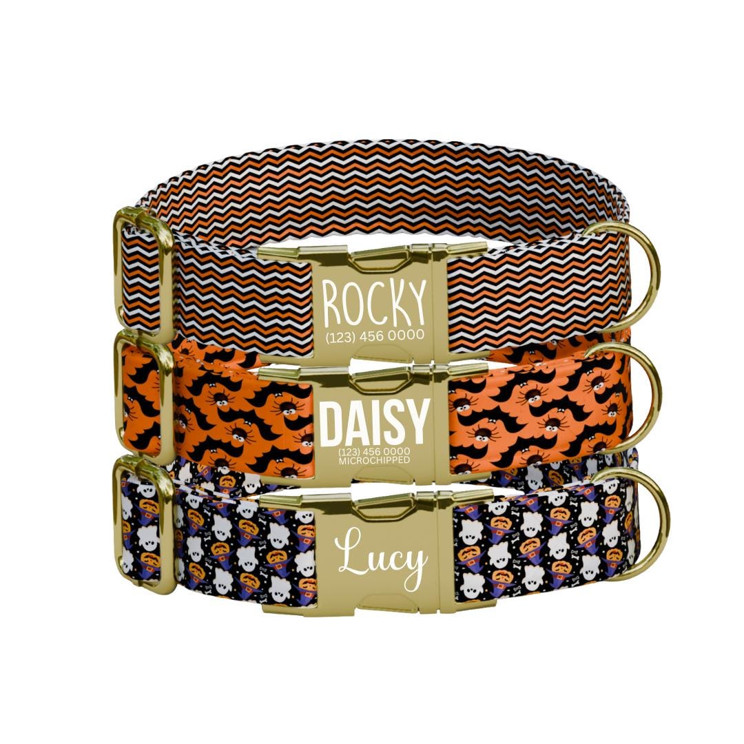 Personalized Halloween Dog Collar with Name Engraved, Cute and Soft Adjustable Fall Collar & Leash Set Black or Gold Buckle Dog Gift (OG-30)