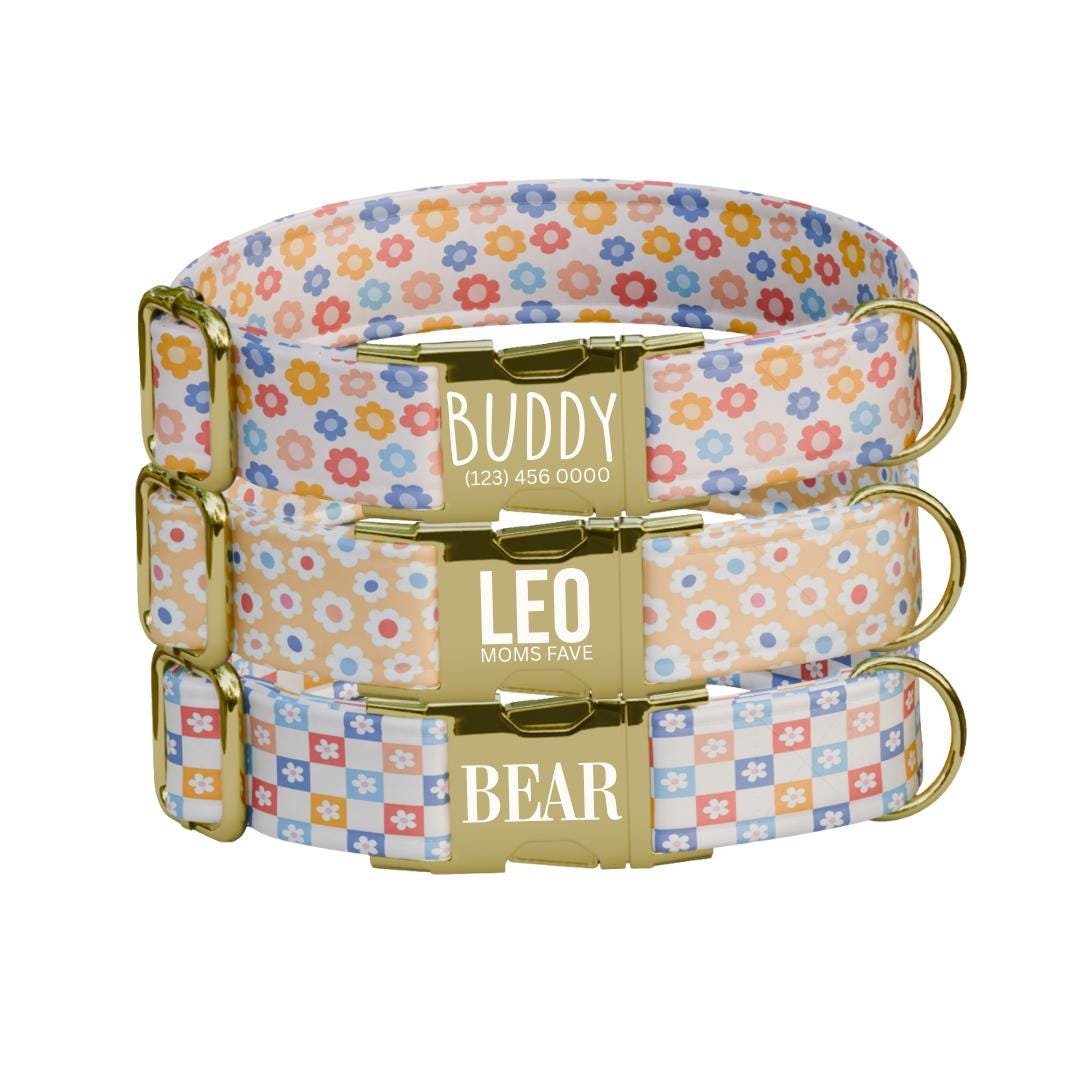 Personalized Pastel Floral Dog Collar with Name Engraved, Cute and Soft Adjustable Collar & Leash Set Black or Gold Buckle Dog Gift (OG-20)