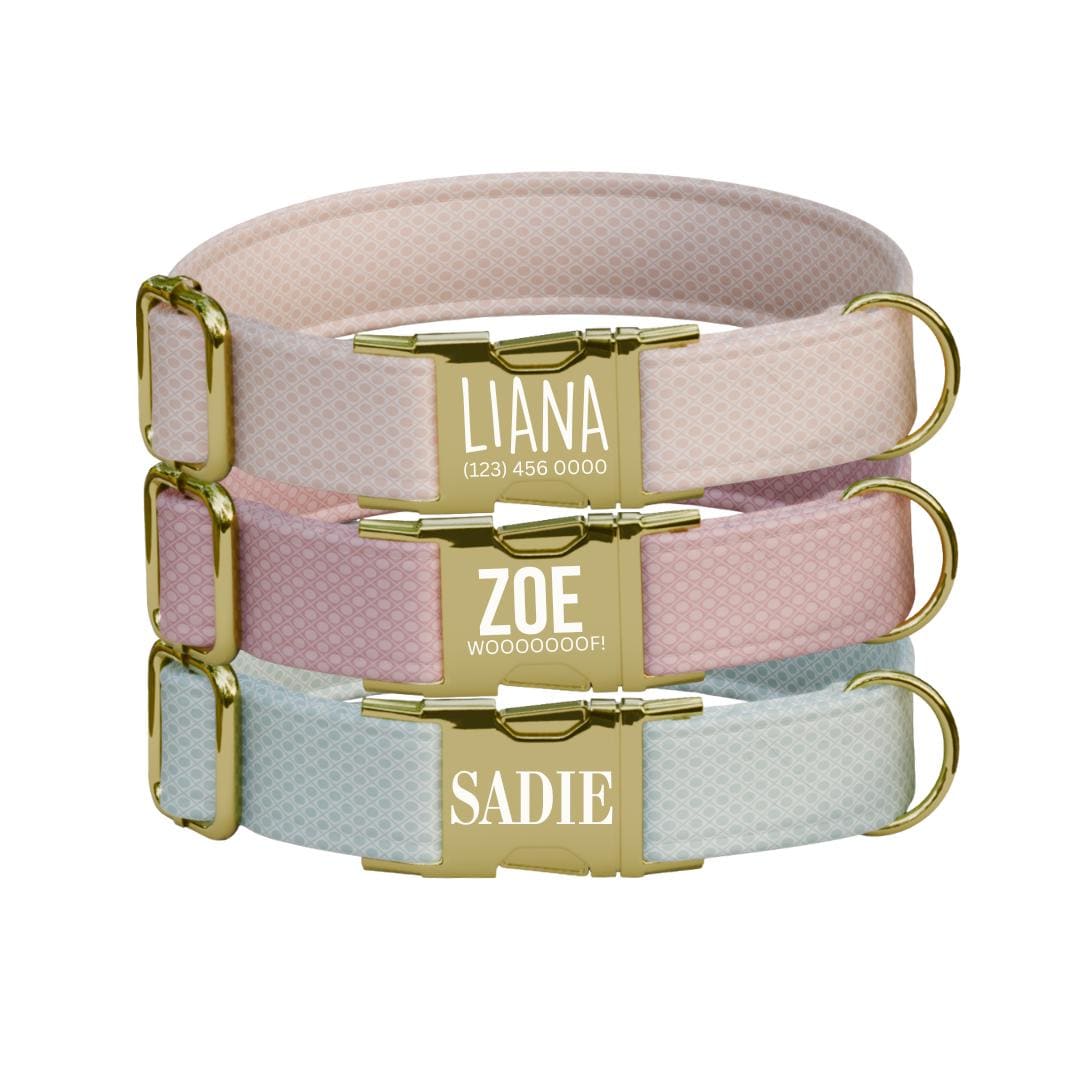 Personalized Pastel Charm Dog Collar with Name Engraved, Cute and Soft Adjustable Collar & Leash Set, Black Gold Buckle Dog Gift (OG-15)