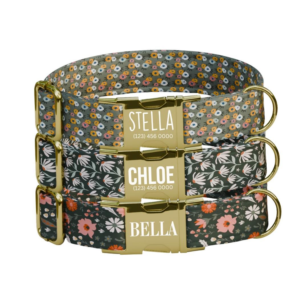 Personalized Green Floral Dog Collar with Name Engraved, Cute and Soft Adjustable Collar & Leash Set, Black or Gold Buckle Dog Gift (OG-17)