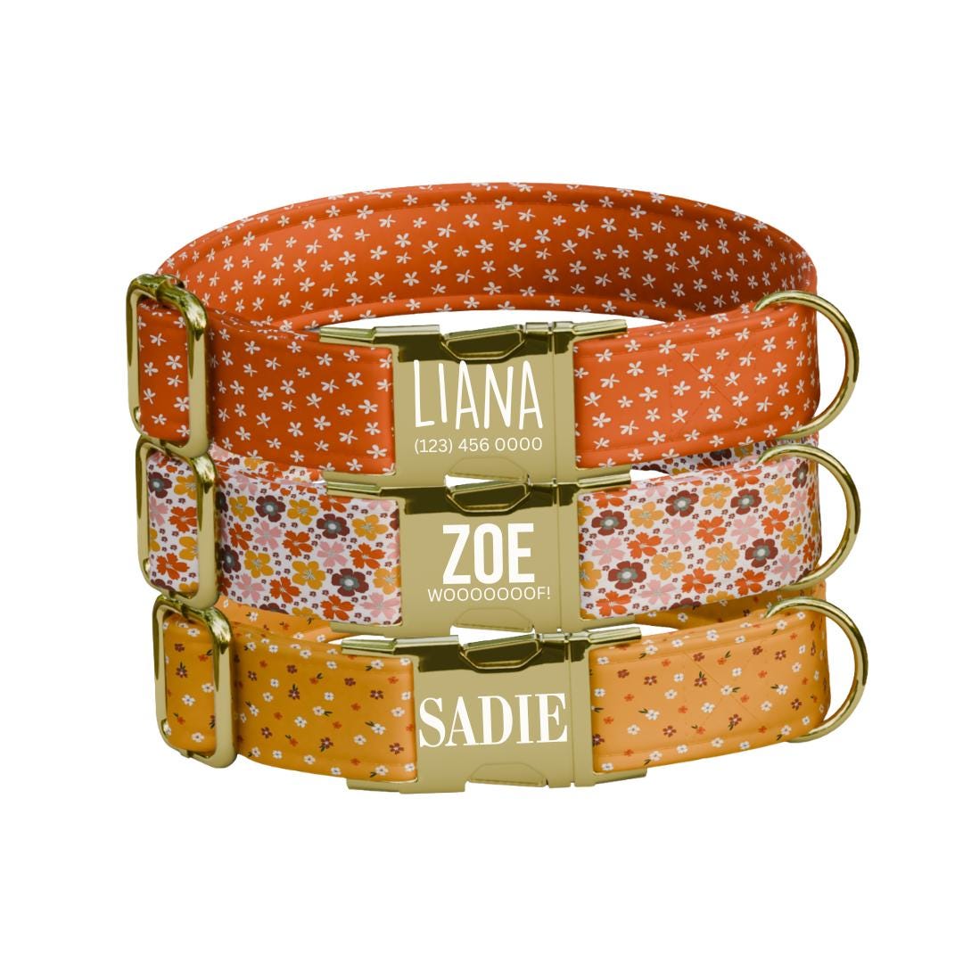 Personalized Floral Pattern Dog Collar with Name Engraved, Cute and Soft Adjustable Collar & Leash Set Black or Gold Buckle Dog Gift (OG-19)