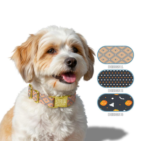 Personalized Spooky Pup Halloween Dog Collar with Name Engraved Cute and Soft Adjustable Collar & Leash Set, Pet ID Tag Dog Gift (OG-141)