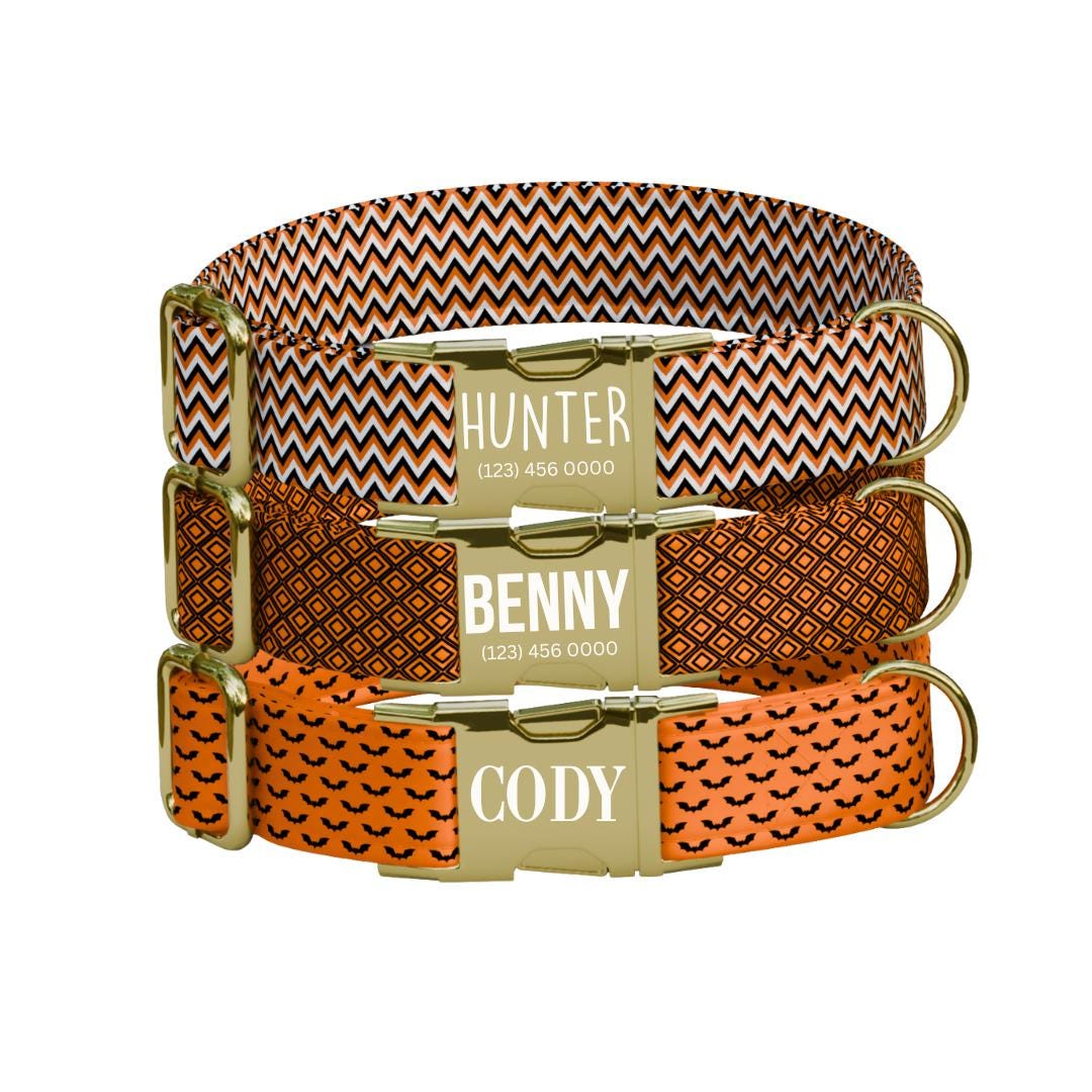 Personalized Spook-tacular Halloween Dog Collar with Name Engraved Cute and Soft Adjustable Collar & Leash Set, Pet ID Tag Dog Gift (OG-133)