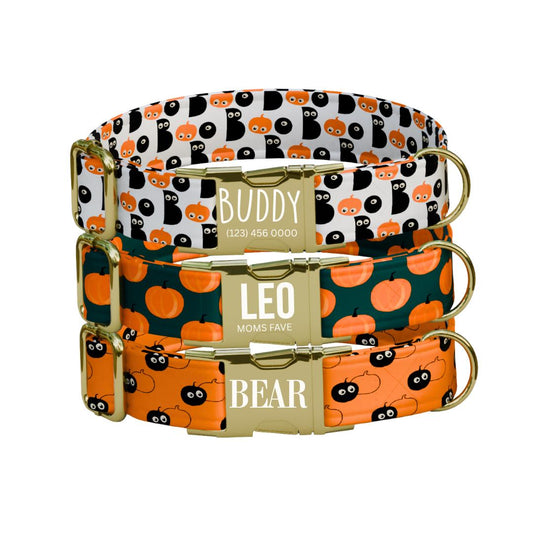 Personalized Halloween Dog Collar with Name Engraved Cute and Soft Fall Adjustable Collar & Leash Set Black or Gold Buckle Dog Gift (OG-124)