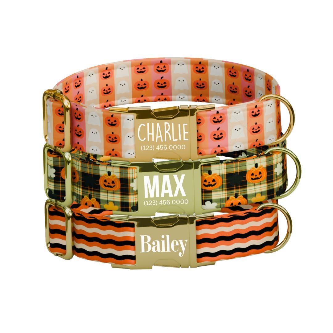 Personalized Halloween Dog Collar with Name Engraved Cute and Soft Fall Adjustable Collar & Leash Set Black or Gold Buckle Dog Gift (OG-126)