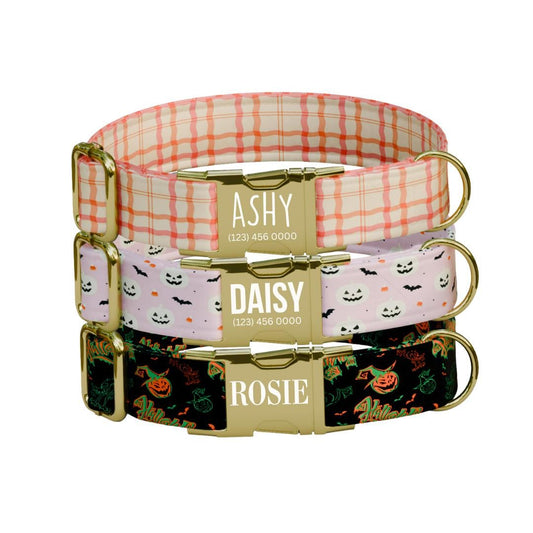 Personalized Halloween Dog Collar with Name Engraved Cute and Soft Fall Adjustable Collar & Leash Set Black or Gold Buckle Dog Gift (OG-128)