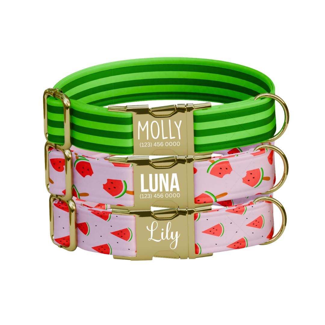 Personalized Watermelon Dog Collar with Name Engraved Cute & Soft Adjustable Collar Leash Set Unique Watermelon Print Dog Tag Gift (OG-85)