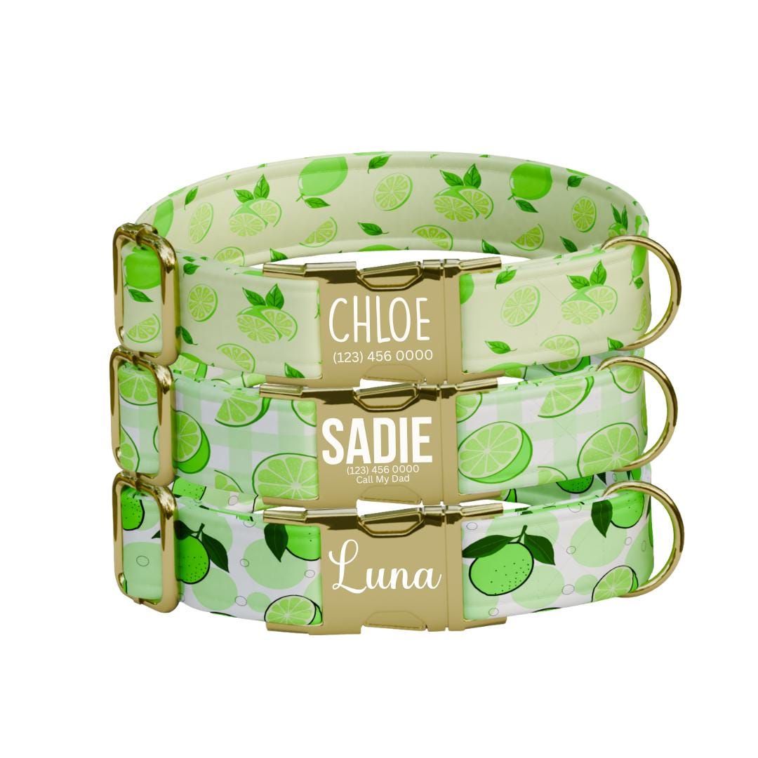 Personalized Lime Fruit Dog Collar with Name Engraved Cute & Soft Adjustable Collar Leash Set Unique Lime Fruit Print Dog Tag Gift (OG-87)