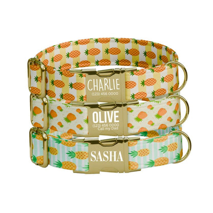 Personalized Pineapple Dog Collar with Name Engraved Cute & Soft Tropical Summer Adjustable Collar Leash Set Unique Fun Dog Tag Gift (OG-67)