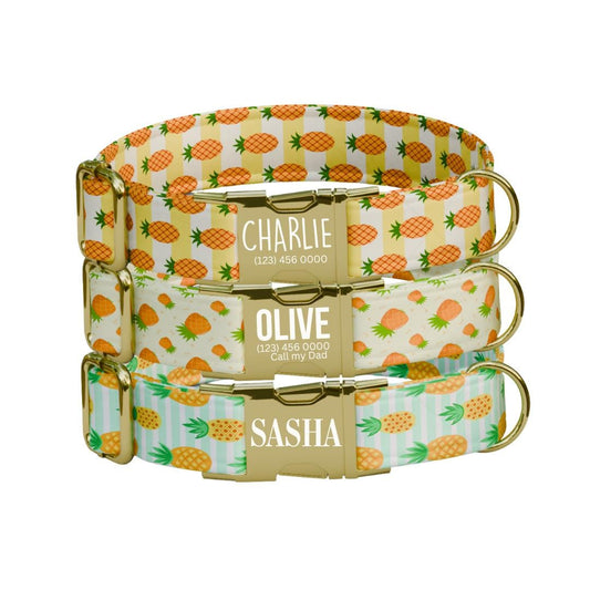 Personalized Pineapple Dog Collar with Name Engraved Cute & Soft Tropical Summer Adjustable Collar Leash Set Unique Fun Dog Tag Gift (OG-67)